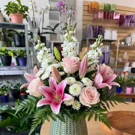 Blush and Bloom
