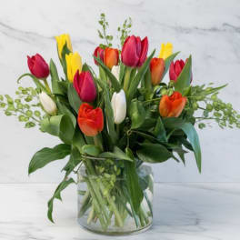 Spring Confetti Tulips