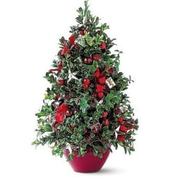 Small potted Christmas tree decorated with red bows and ornaments in a red container
