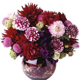 Round vase arrangement of red and pink dahlias and mums with decorative filler in the base