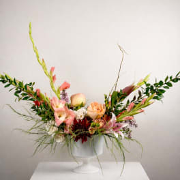 Coral Crescendo