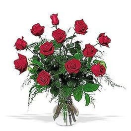 Dozen Prestige Roses