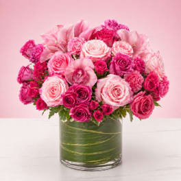 Blush Garden Elegance