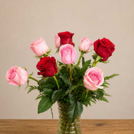 Classic Rose Bloomnation