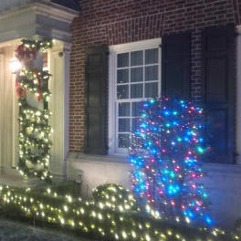 Christmas decoration package