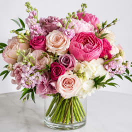 Blush Reverie