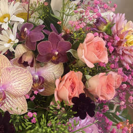 Low and compact mix, tropical flowers, & cottage blooms