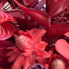 Tropical red