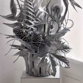 Tropical silver