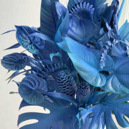 Tropical blue