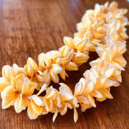 Plumeria lei