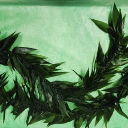 Extra long ti leaf lei
