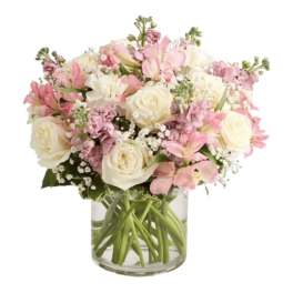 Elegant Blush
