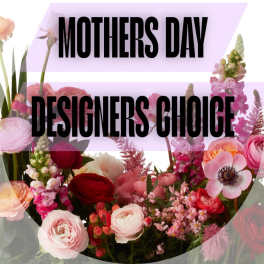Mothers Day Designers Choice