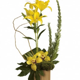 Yellow lilies and orchids in a wooden container with moss