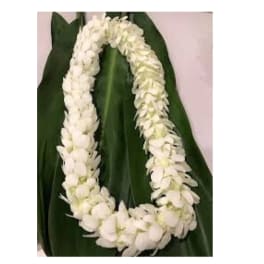 Premium White Orchid Lei -pre order only