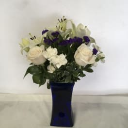 White Wonders