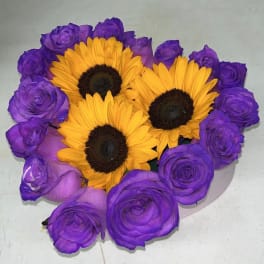 Purple Sun