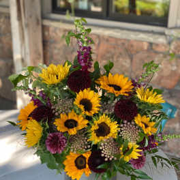 Large fall sunflower
