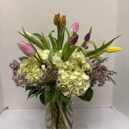 Timeless tulips