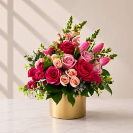 Shades of Pink