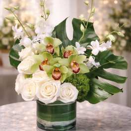 Ivory Orchid Elegance
