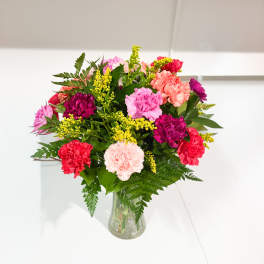 carnation assortment