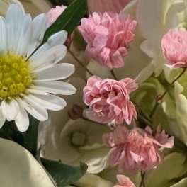 Mothers Day Mixed Up