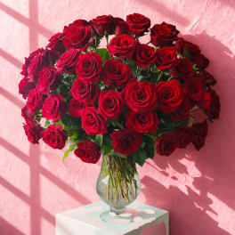100 Roses