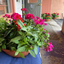 Mixed potted flowering plants in a shallow terracotta bowl