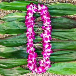 Double Bombay Dendrobium Orchid Lei