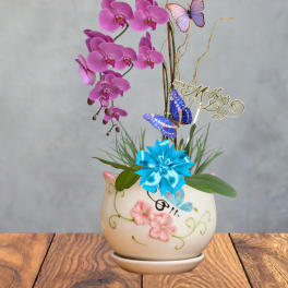Orchid butterfly garden (color may vary)