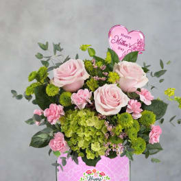 Blush & Bloom