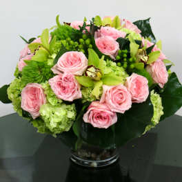 Blushing Greens