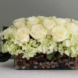 Admiration of Roses