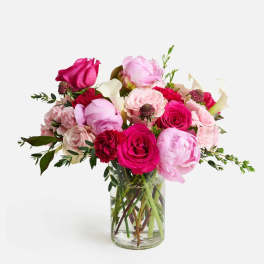 Peony Passion