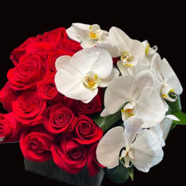 ORCHIDS AND ROSES