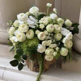 Neutral & Elegant