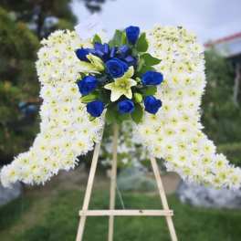 Angel Wings Blue and White