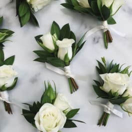 White rose boutonnieres with dark green leaves and white ribbon