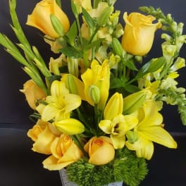 Yellows