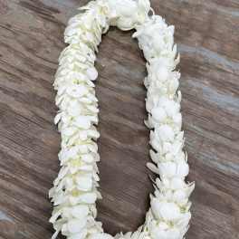 Graduation White Double Lei.