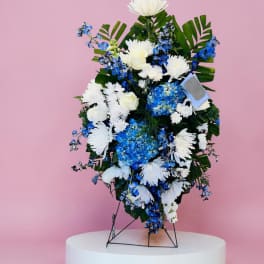 Blue Standing Spray