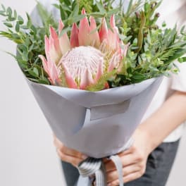 Pink protea bouquet wrapped in gray paper