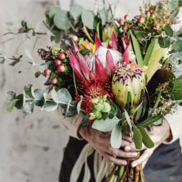 Luxurious mixed Protea bouquet