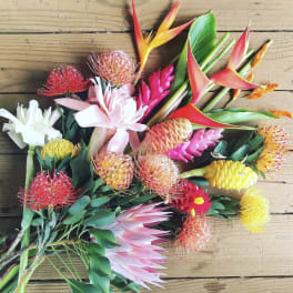 Tropical Treasure Chest for gift shop & event supply (NATIONAL SHIPPING)