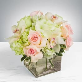 Elegant by BloomNation™