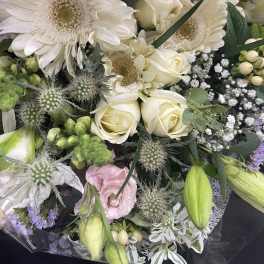 Blush and white color palette