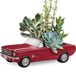 Dream Wheels '65 Ford Mustang by Teleflora