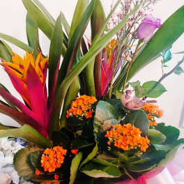 Blooming garden